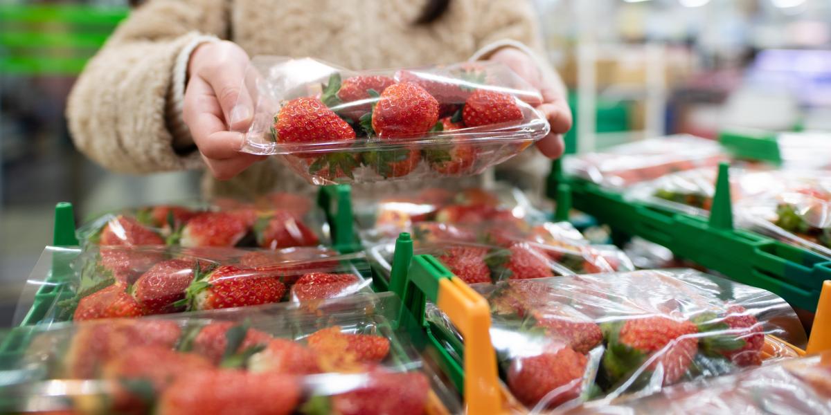 Fragole, si lavora per aumentare la shelf-life a scaffale 